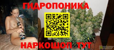 2c-b Кингисепп