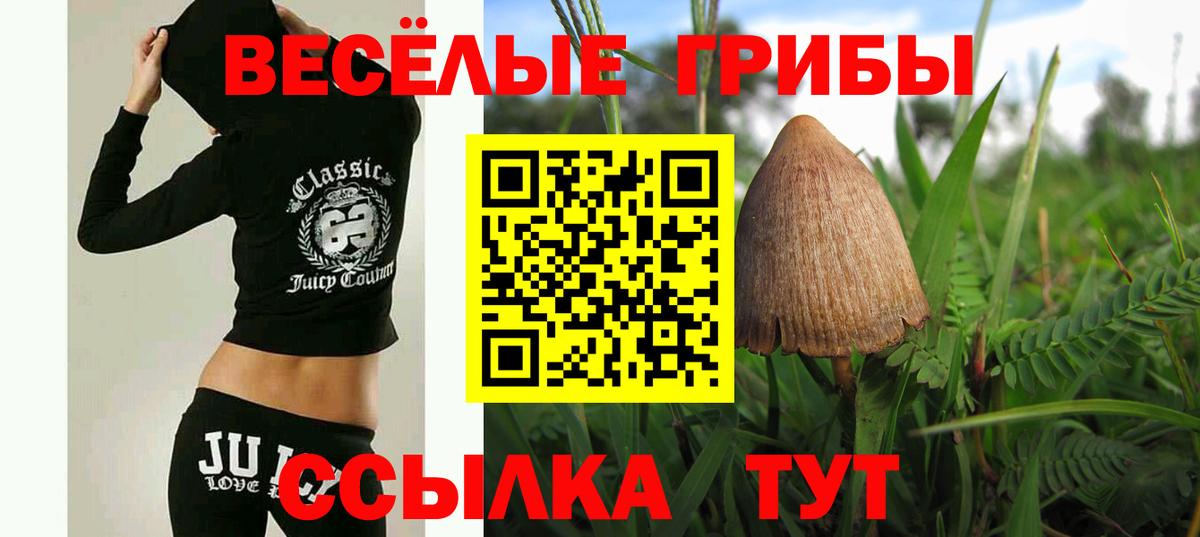 Галлюциногенные грибы Cubensis  Вход с VPN  Кувандык 
